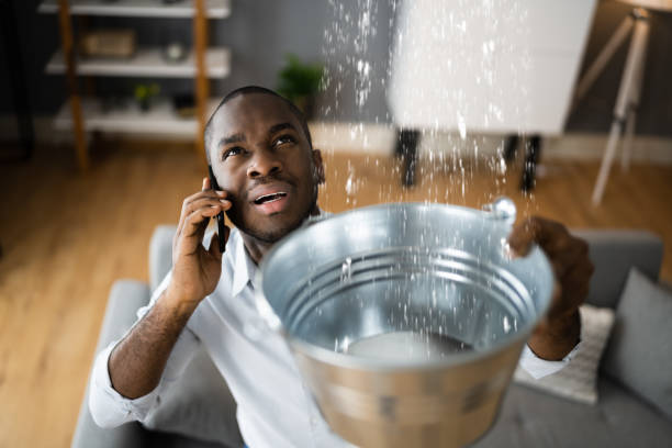 Best Professional water damage repair  in Beverly Hills, CA