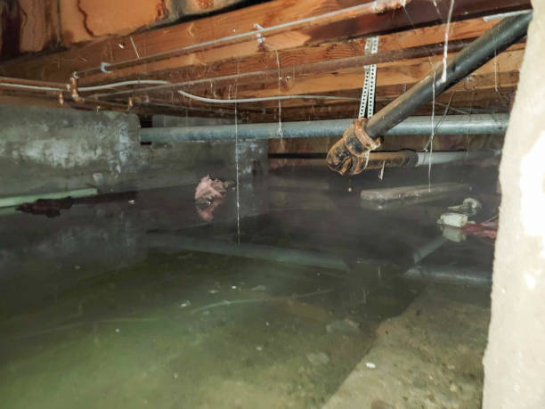 Best Flood restoration services  in Beverly Hills, CA