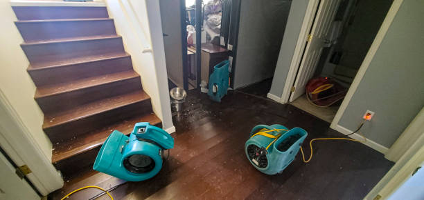 Reliable Beverly Hills, CA Water damage restoration Solutions