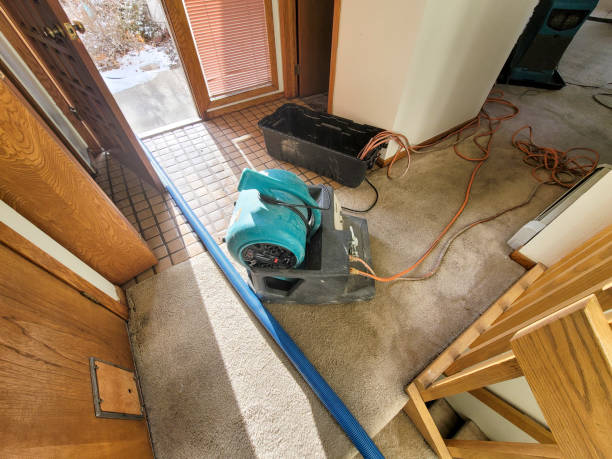 Best Basement water damage restoration  in Beverly Hills, CA