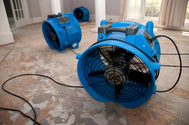 Best Water damage restoration near me  in Beverly Hills, CA