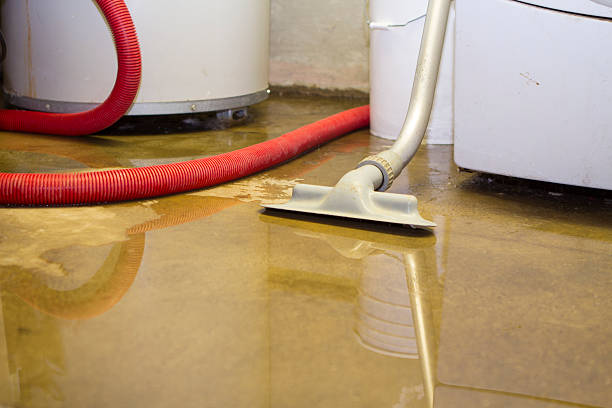 Best Mold removal after water damage  in Beverly Hills, CA
