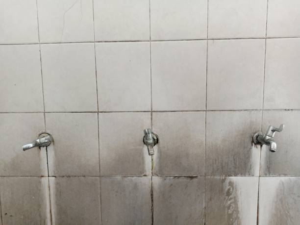 Best Basement water damage restoration  in Beverly Hills, CA