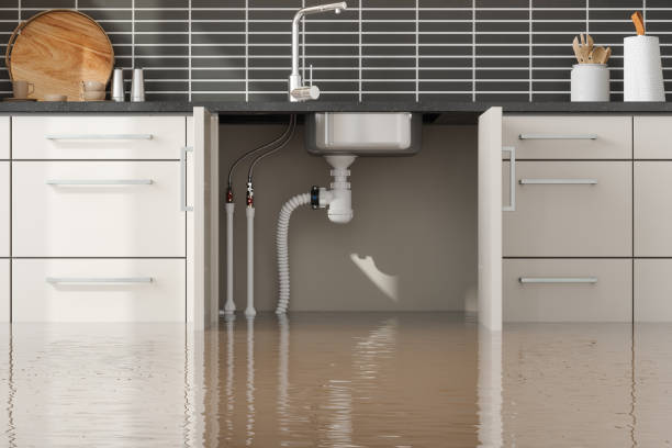 Best 24-hour water damage restoration  in Beverly Hills, CA