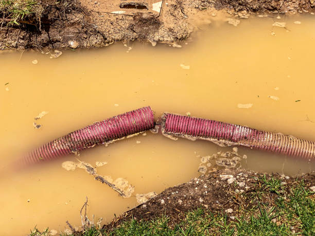 Best Water damage restoration services  in Beverly Hills, CA