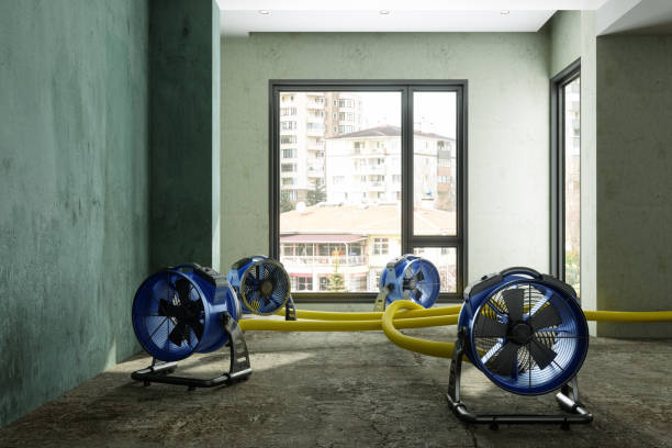 Best Ceiling water damage repair  in Beverly Hills, CA